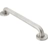 Moen Home Care 16 in. Concealed Screw Grab Bar, Stainless