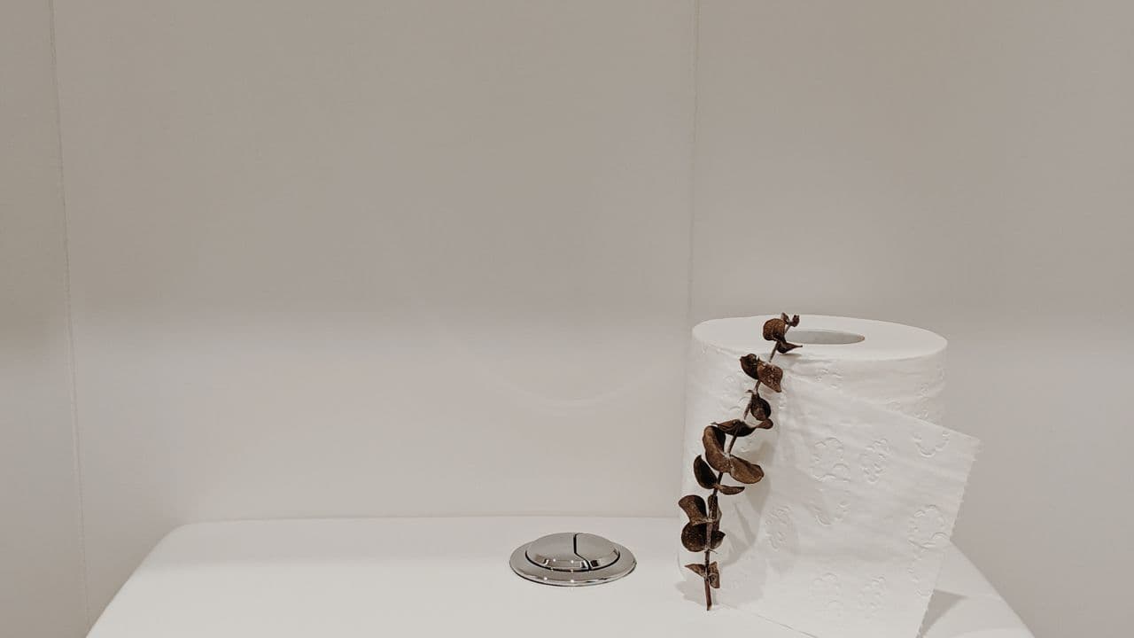 A clean white toilet tank with a dual-flush button and a roll of toilet paper