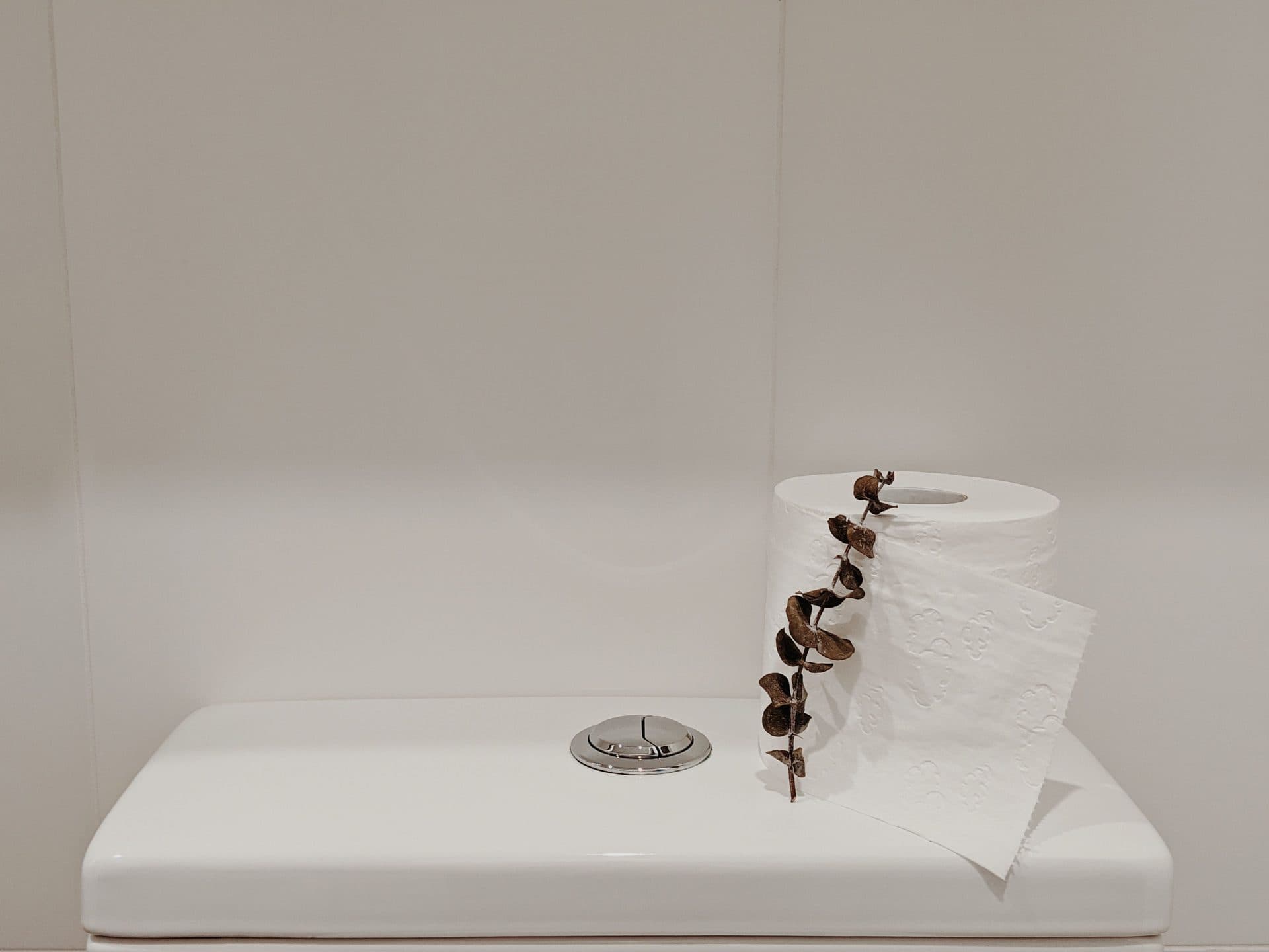 A toilet with a separate tank