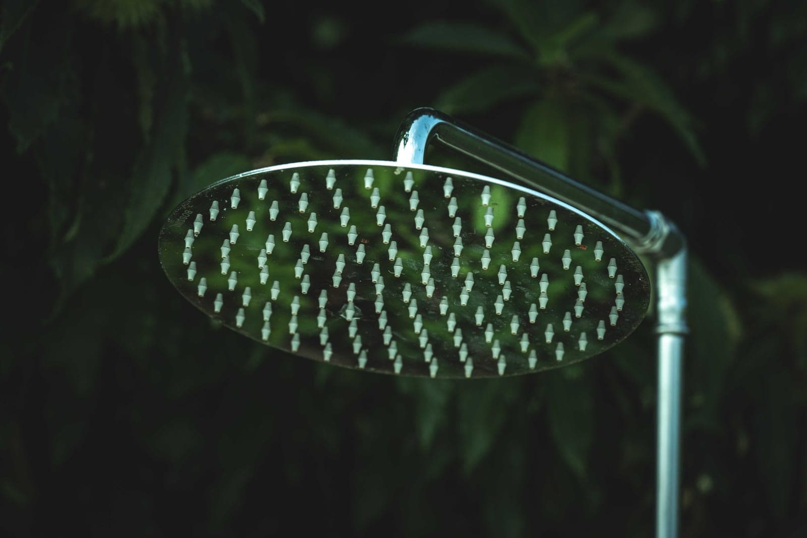 A shower head with water spraying, seen close up