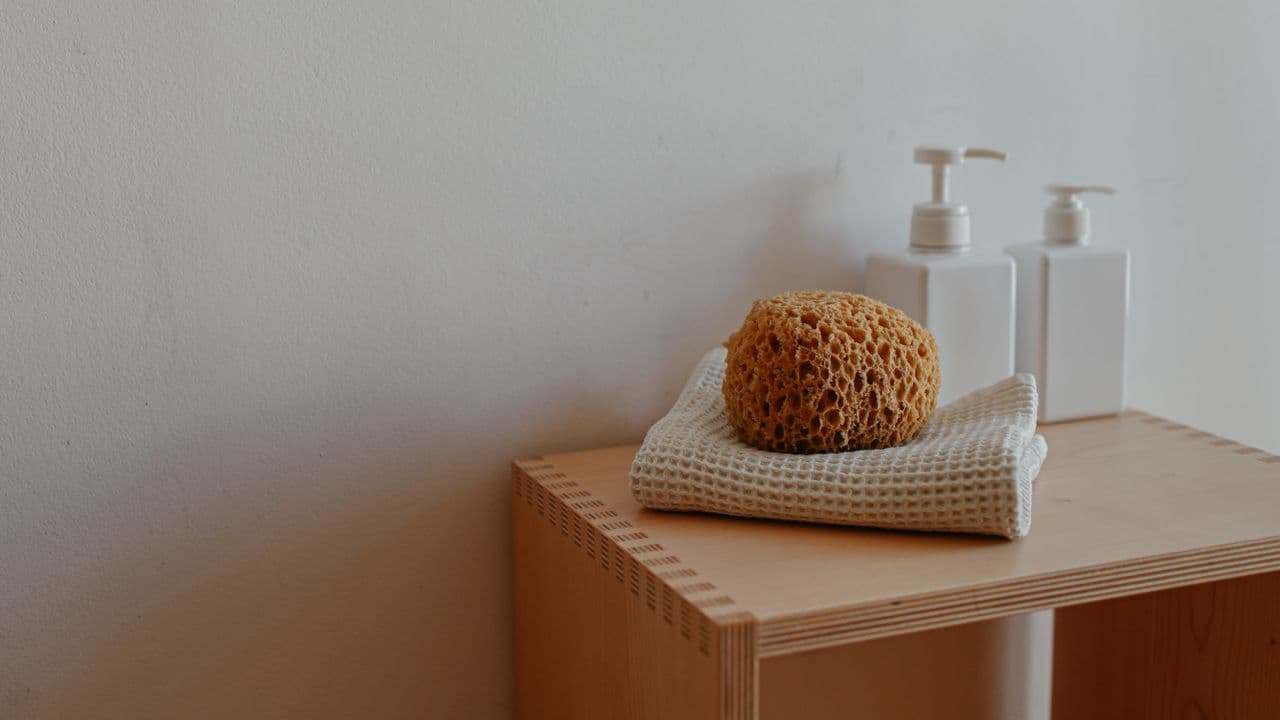 A bathroom shelf with folded towels, a natural sponge and a small plant
